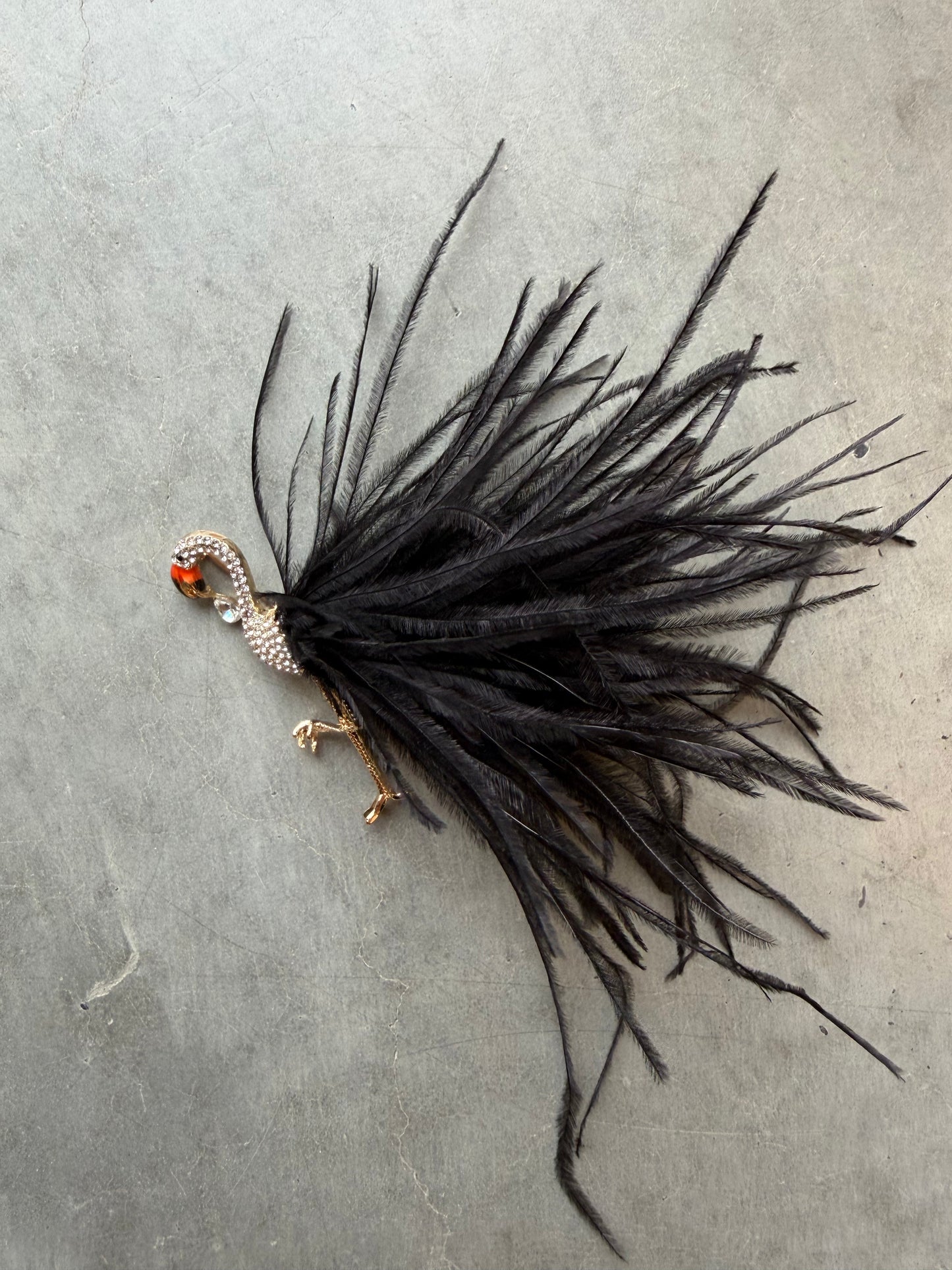 Brosche mit Federn- Details