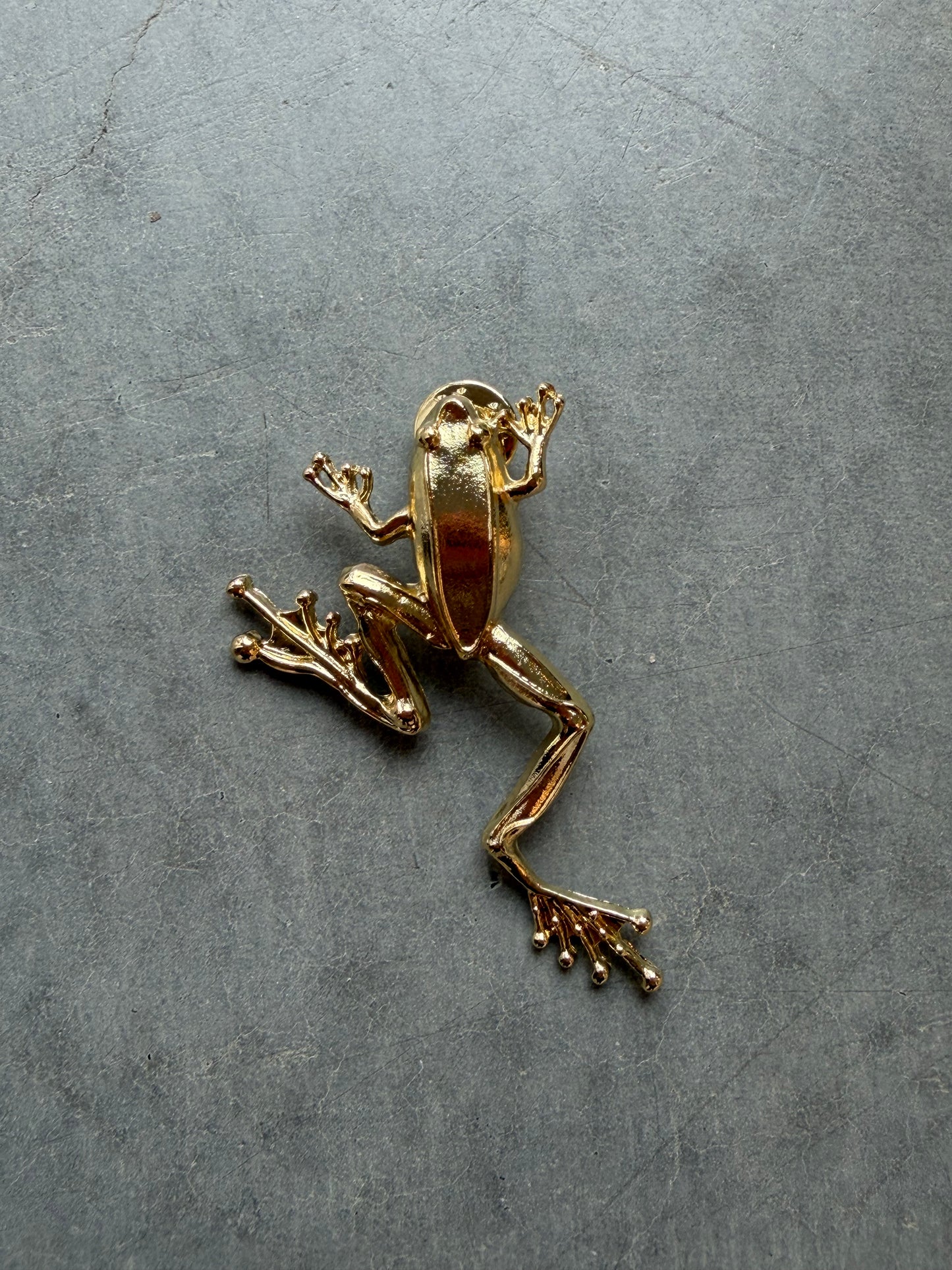 Pin im Frosch- Design